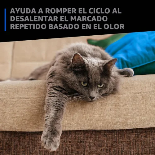 Vista 6 de Simple Green Eliminador de manchas y olores de mascotas 32 oz