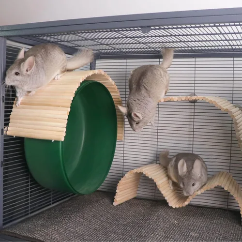 Vista 2 de YKD Chinchilla - Juguete de plataforma flexible de madera de abedul natural, valla de rueda de chinchilla, juguetes de escalada de animales pequeños