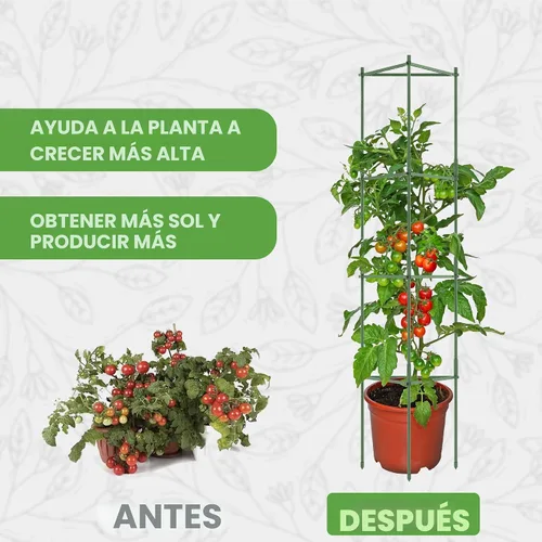 Vista 9 de Paquete de 3 jaulas de tomate de 68 pulgadas para jardín, enrejado grande