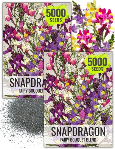 Vista 9 de Seed Needs Fairy Bouquet Baby Snapdragon Seeds to Plant Flowers 1 Pack