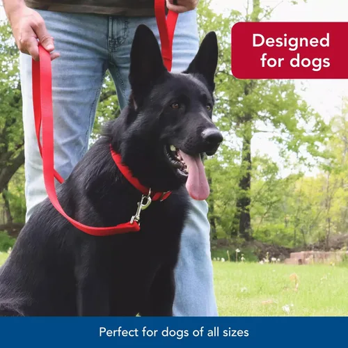Vista 6 de Coastal Pet Correa para Perros de Doble Capa - Enganche de Mosquetón para Collares y Arneses - Correa de Nailon para Caminar Perros Pequeños Negro