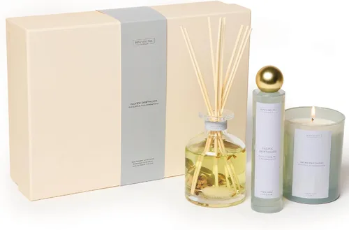 Vista 18 de Benevolence LA Difusor de junco, difusor de aroma de rosa y sándalo para el hogar con varillas difusoras de aceite Colección Sun-Kissed