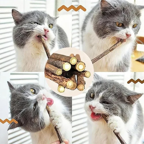 Vista 7 de Juguetes masticables para gatos, palos de Silvervine para gatos, cuerda de limpieza de dientes, cuidado dental de dentición de gatitos, gatito