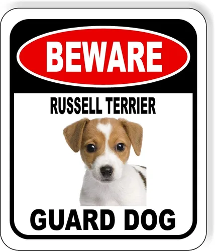 Vista 25 de BEWARE BASSETT HOUND GUARD DOG - Letrero compuesto de aluminio para exteriores, 8.5 x 10 pulgadas CUIDADO BASSETT HOUND GUARD PERRO