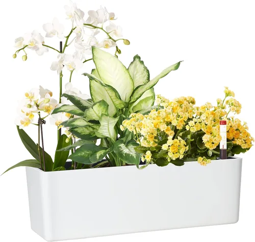 Vista 10 de Macetas alargadas con autorriego para ventana, de 5.5 x 16 pulgadas, para interiores, hogar, jardín, maceta decorativa moderna para todas