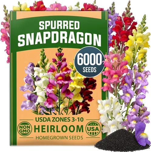 Vista 87 de HOME GROWN Bachelor Button Tall Mix 700+ Semillas de flores Centaurea
