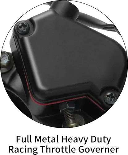 Vista 3 de Wingsmoto acelerador de Pulgar con doble palanca de freno Assy para 50 cc 90 cc 150 cc 250 cc ATV Quad Roketa Taotao Sunl Kazuma