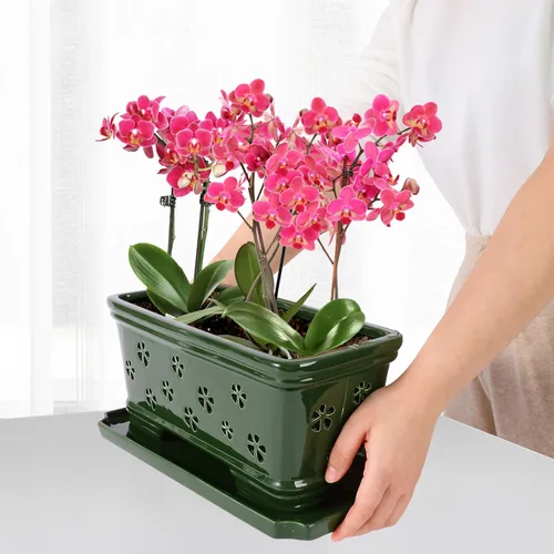 Vista 4 de Maceta de orquídea de cerámica verde de 12 pulgadas con agujeros para trasplante y ventilación, interior o exterior