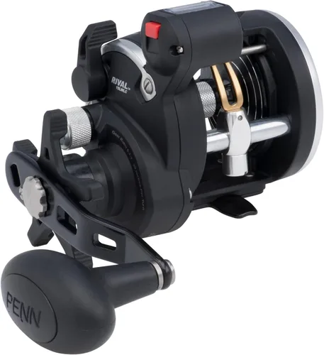 Vista 11 de Carrete de pesca Penn Rival Level Wind convencional
