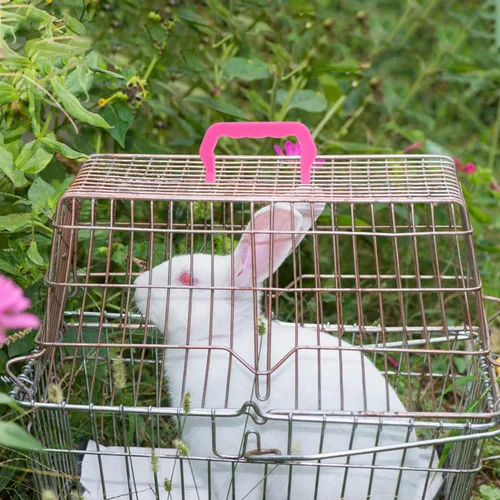 Vista 4 de Zerodeko 10 manijas de jaula para mascotas, accesorios de piezas de repuesto para jaulas para mascotas, fácil instalación, cómodo de sostener, mango