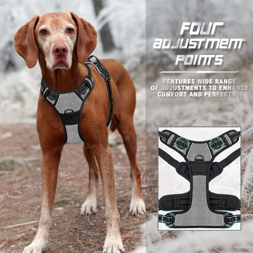 Vista 23 de BARKBAY - Arnés para perro sin tirones con clip frontal, material resistente y reflectante, asa de fácil control para pasear perros grandes