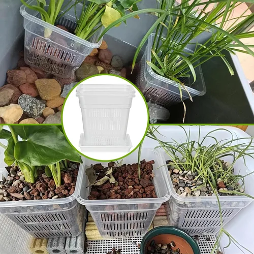 Vista 5 de Macetas de orquídeas con agujeros, paquete de 6 macetas cuadradas