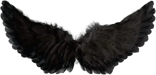 Vista 4 de Angel Wings - Plumas negras para niños alas de ángel para niños adultos cosplay Halloween fiesta regalo de Navidad 16 x 315 pulgadas