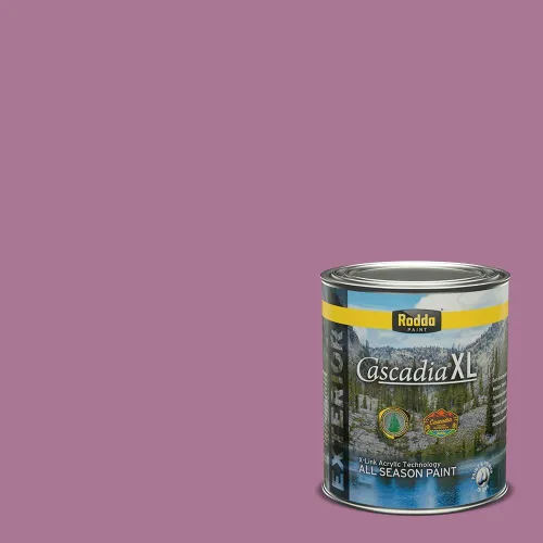 Vista 125 de Rodda Paint CASCADIA XL - Pintura e imprimación satinada para exteriores en uno, cuarto de galón, blanco abstracto
