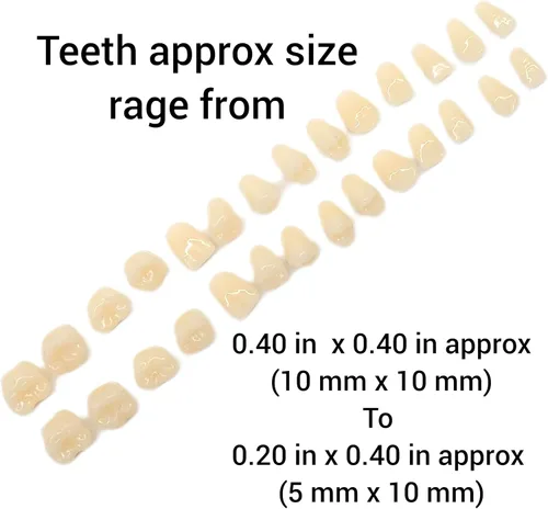 Vista 2 de Molde de silicona de dientes humanos de imitación con múltiples cavidades Jabón Vela Molde para cera Molde para resina NC041
