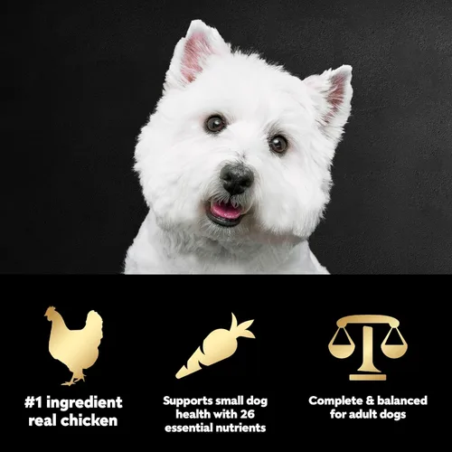 Vista 5 de Cesar Alimento seco para perros de raza pequeña para perros pequeños, sabor a pollo asado y guarnición de verduras de primavera, bolsa de 12 libras