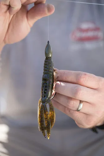 Vista 6 de Berkley PowerBait Pit Boss Fishing Soft Bait Bicho Bama