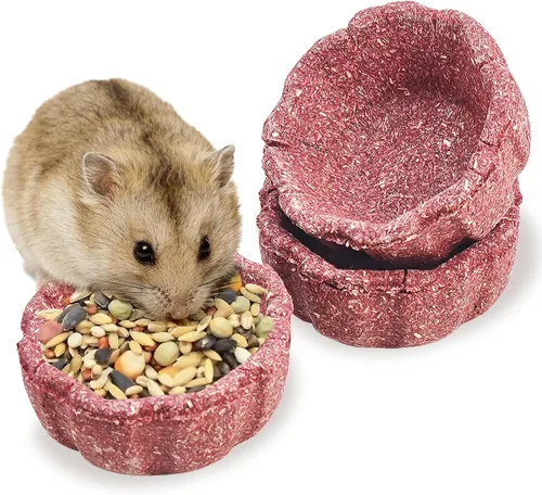 Vista 15 de BNOSDM 12 unidades de hámster comestible de Timothy Heno masticable Premium Timothy Bowl Conejo golosinas para masticar dientes Chinchilla Masticar