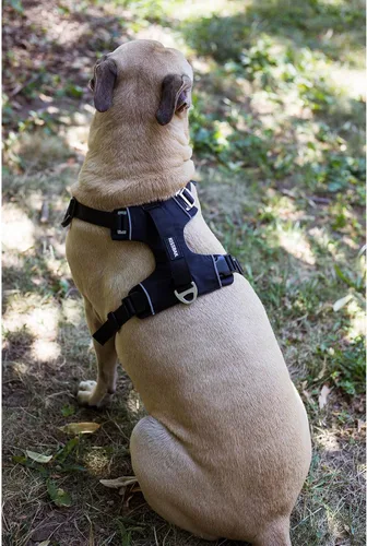 Vista 3 de Arnés para perro sin tirones con asa, fácil de caminar, 2 clips para correa, 3 hebillas sin estrangulamiento, acolchado suave para perros pequeños