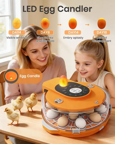 Vista 7 de Incubadora de 15 huevos con recarga lateral de agua, control automático de humedad, girador automático de huevos, temperatura ajustable, vela