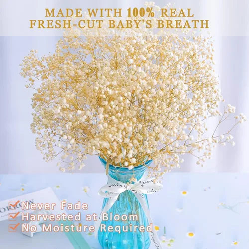 Vista 3 de Más de 4000 flores secas de respiración de bebé a granel - Ramo de flores secas de color blanco marfil de 17.2", ramas de gypsophila naturales