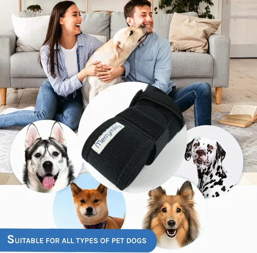 Vista 7 de Rodillera para perros para patas traseras y traseras, ajustable, duradera, negra, talla XXL