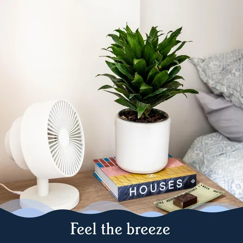 Vista 7 de Windmill Ventilador inteligente - Circulador de aire 2 en 1 ultra silencioso con control remoto - Ventilador de refrigeración compacto de 5 Blanco