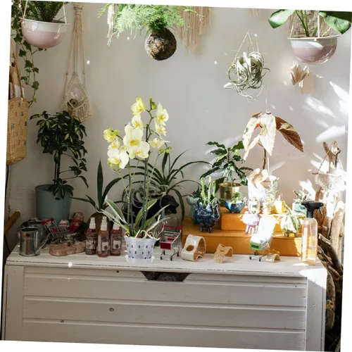 Vista 6 de Levemolo 2 juegos de macetas de orquídeas para plantas, macetas ranuradas para orquídeas, macetas de vivero, macetas de orquídeas, macetas