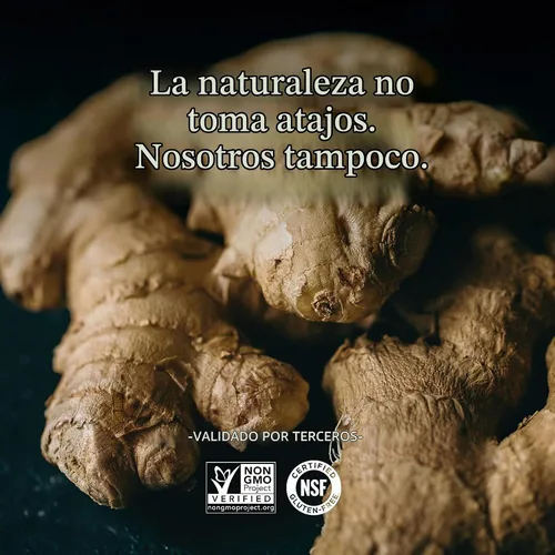 Vista 5 de New Chapter Suplemento de jengibre Force con ingredientes orgánicos supercríticos + cápsulas vegetarianas sin OMG, 60
