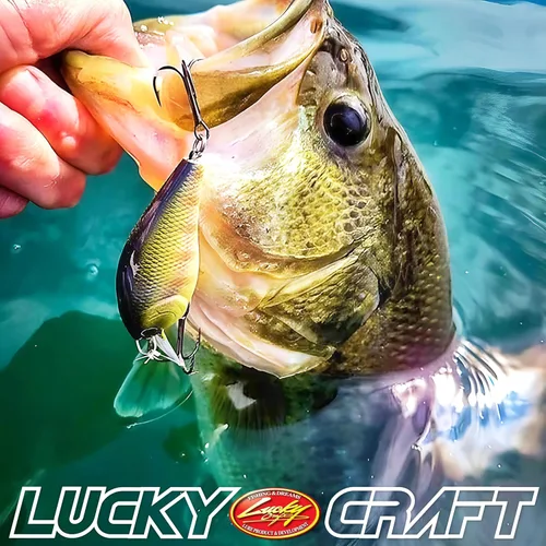 Vista 3 de LUCKY CRAFT LC 1.5 Silent Squarebill Crankbait Fishing Lure, 2-3/8", Bass Fishing Lures for Freshwater, Hard Crankbait with Treble Fishing Hooks