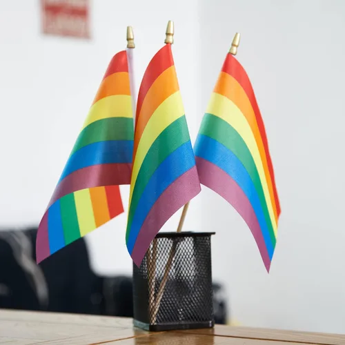 Vista 6 de ZXvZYT Paquete de 12 banderas de arco iris del orgullo, gay, LGBT, pequeñas, de mano, para festivales, fiestas, desfiles (5 x 8 pulgadas)