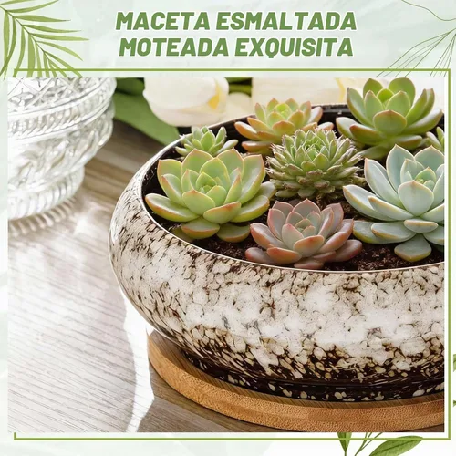 Vista 5 de 5 Piezas Macetas de Cerámica Redondas Grandes y Poco Profundas para Suculentas de 7.3'' y 4'' con Orificio de Drenaje Maceta de Bonsái Poco Profunda