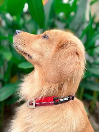 Vista 8 de Tuff Pupper Collar de perro resistente Collar resistente para perros Collares reflectantes con clip de correa de aluminio en D Accesorio