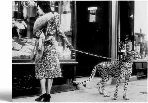 Vista 12 de Impresión de guepardo en el espejo, impresión de fotografía en blanco y negro, leopardo vintage en blanco y negro, fotos de espejo con aspecto