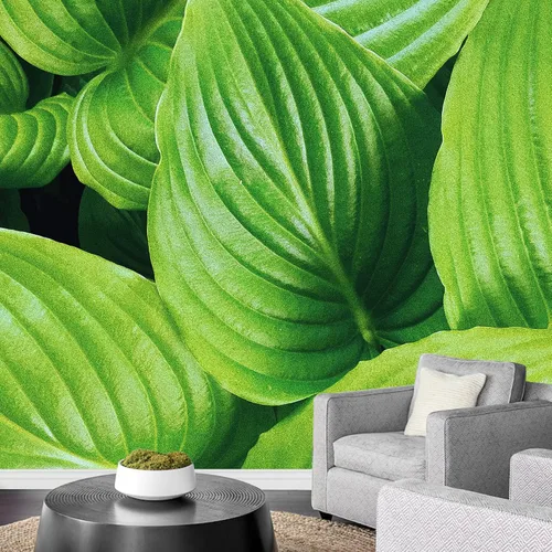 Vista 37 de wall26 serie Wall Mural Papel de empapelar autoadhesivo, grande., WMR-WP-X-D986-66x24x4