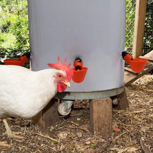 Vista 4 de DoubleWood Paquete de 12 tazas de riego para beber pollo de la máquina de beber de aves de corral completamente automáticas (12)