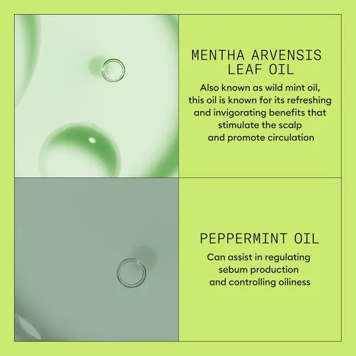 Vista 7 de Nioxin System 2 - Acondicionador de cuero cabelludo + engrosamiento del cabello para cabello natural con adelgazamiento progresado Aumenta