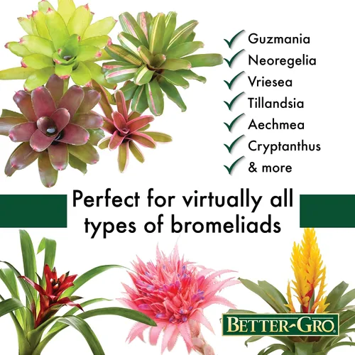 Vista 4 de Better-Gro Mezcla de bromelia 8 cuartos