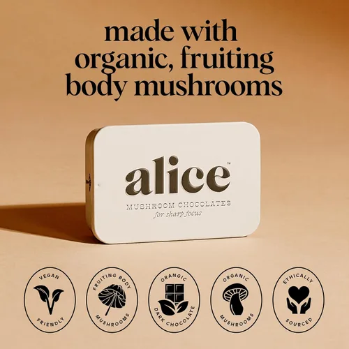 Vista 5 de Alice Mushrooms Brainstorm Chocolates de Hongos Bocados Energéticos para Concentración, Claridad y Función Cognitiva Melena de León, Hongos