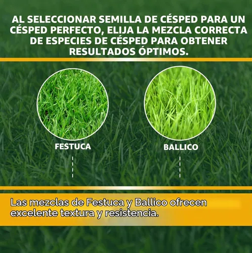 Vista 4 de Contractors Choice - Semillas de césped prémium para césped, ideal para pleno sol y sombra, semillas de césped de 25 libras