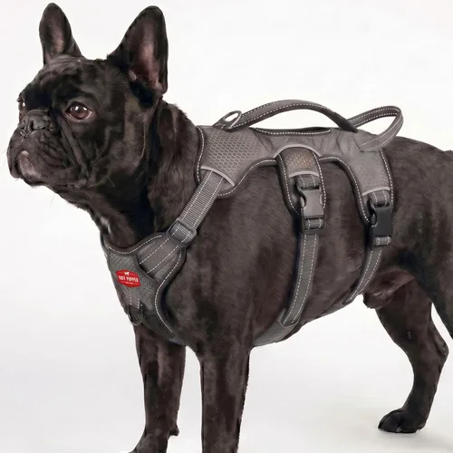 Vista 17 de Tuff Pupper Arnés para perro sin escape a prueba de escape, arnés ajustable de 5 puntos para perros, arneses acolchados para perros, arneses