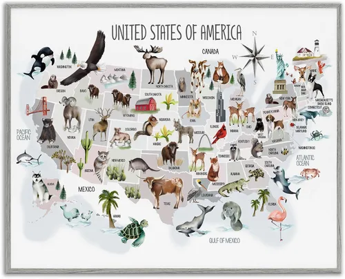 Vista 11 de Estados Unidos de América Mapa de Animales Kid's' Arte Giclée enmarcado Blanco costero (Texturado)