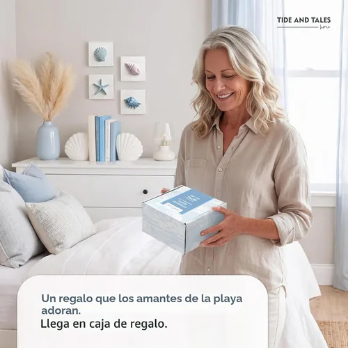 Vista 7 de TideAndTales - Decoración de playa de conchas marinas (juego de 4) conchas 3D texturizadas y decoraciones de estrellas de mar para el hogar o casa