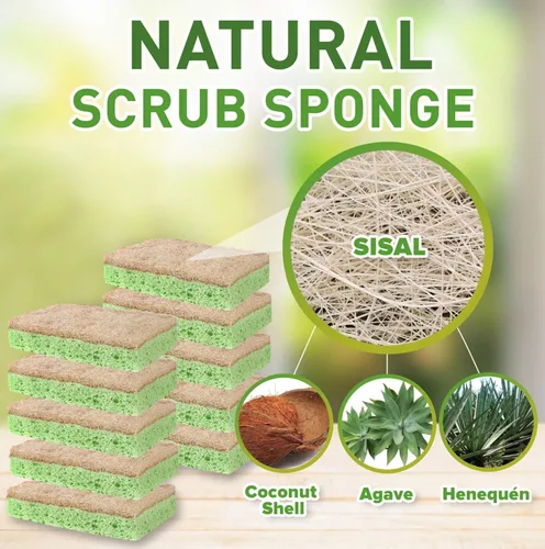 Vista 2 de SCRUBIT Esponjas naturales – Paquete de 10 esponjas naturales biodegradables compostables de celulosa y coco para platos, esponja de cocina