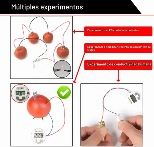 Vista 6 de EUDAX Kit de experimento científico de batería de frutas con reloj electrónico y LED RGB para equipos de enseñanza en casa, proyecto de ciencia