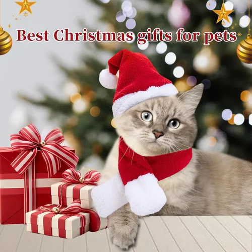 Vista 2 de Disfraz de Navidad de gato con sombrero de Papá Noel y bufanda, traje de Navidad para gatito/cachorros/decoración de Navidad para el hogar
