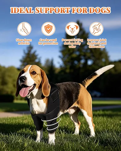 Vista 4 de Petanims Soporte de pierna delantera para perro, soporte de rodilla/carpalo/muñeca para perros, codo ajustable con soporte para el hombro, protector
