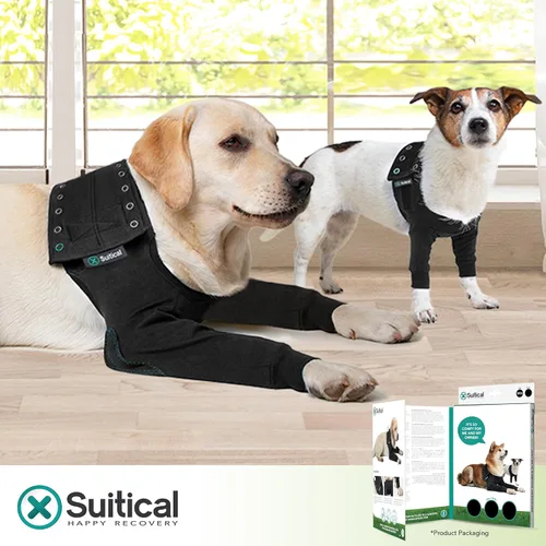 Vista 5 de Funda de recuperación doble manga Suitical para perros - Protección para la pierna delantera para después de la cirugía, problemas de piel, puntos