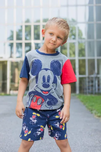 Vista 2 de Disney Mickey Mouse Lion King Pixar Cars Pixar Toy Story - Conjunto de camiseta y pantalones cortos de felpa francesa para niños pequeños y grandes
