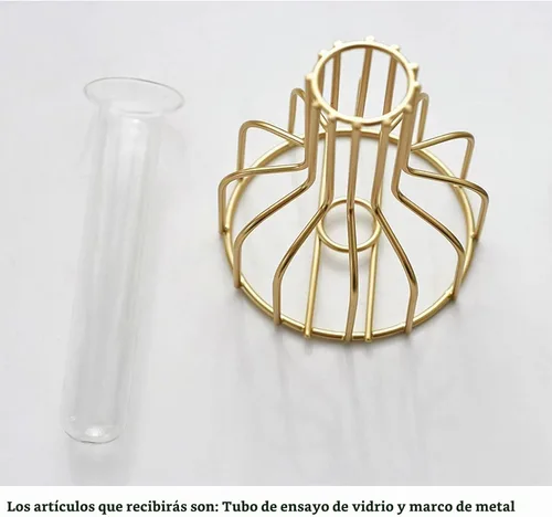 Vista 3 de 2 jarrones dorados con marco de metal, jarrones de tubo de ensayo de vidrio transparente decorativos, pequeños jarrones de brote, regalos